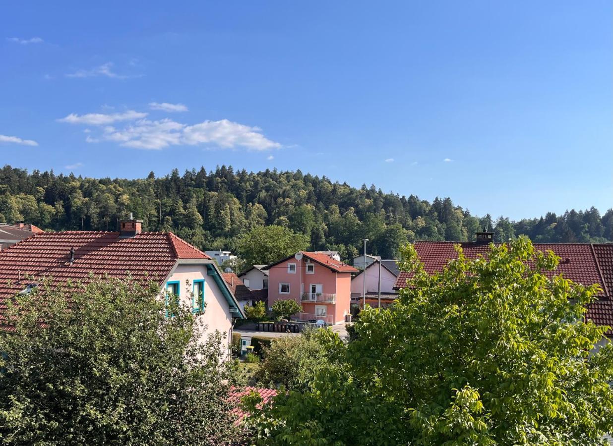Apartment Malina - Free Private Parking Любляна Экстерьер фото